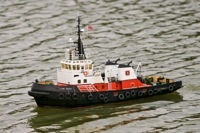 DSC08795 © Peter Taylor 2011