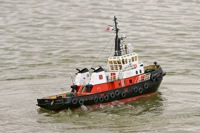 DSC08815 © Peter Taylor 2011