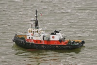 DSC08798 © Peter Taylor 2011