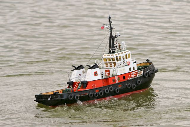 DSC08815 © Peter Taylor 2011