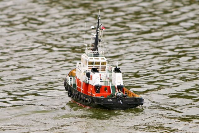 DSC08804 © Peter Taylor 2011