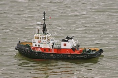 DSC08798 © Peter Taylor 2011