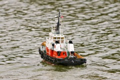 DSC08804 © Peter Taylor 2011