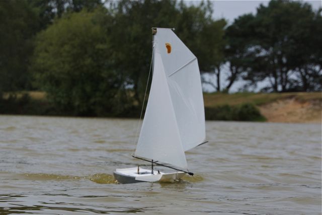 DSC01004 © Peter Taylor 2012