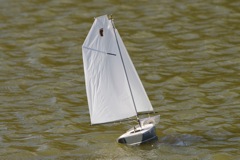 DSC08191 © Peter Taylor 2011
