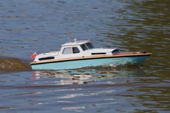 DSC06263 © Peter Taylor 2011