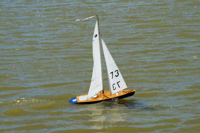 GBR973 DSC02325