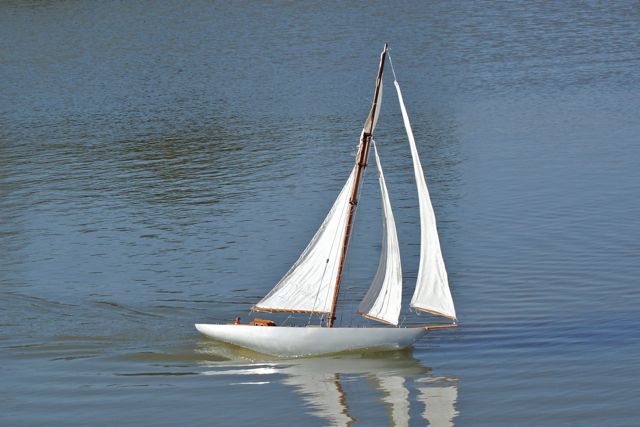DSC02937 © Peter Taylor 2010