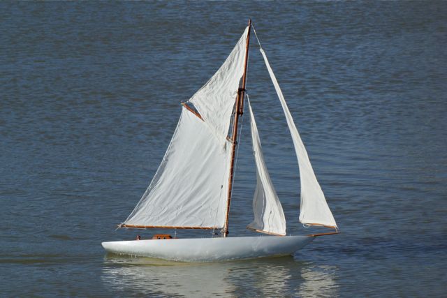 DSC02927 © Peter Taylor 2010