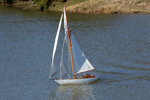 DSC02901 © Peter Taylor 2010