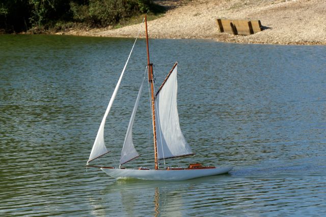 DSC02189 © Peter Taylor 2009