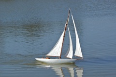 DSC02937 © Peter Taylor 2010