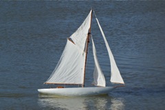 DSC02927 © Peter Taylor 2010