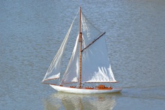 DSC02903 © Peter Taylor 2010