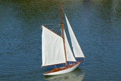 DSC02200 © Peter Taylor 2009