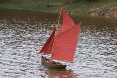 DSC04198 © Peter Taylor 2011