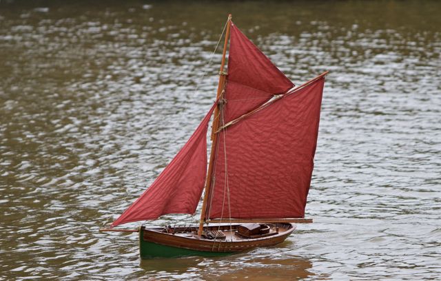 DSC03698 © Peter Taylor 2011