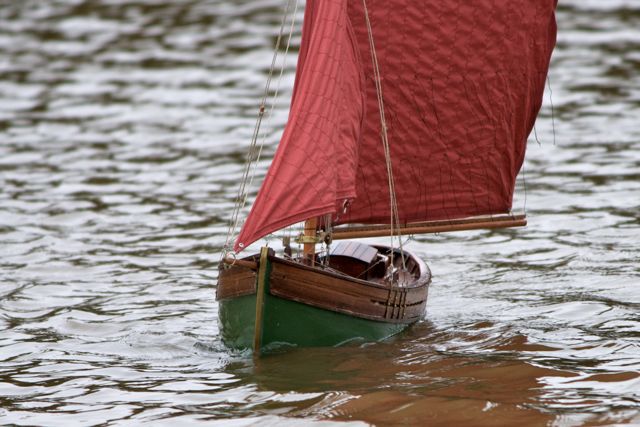  DSC03696 © Peter Taylor 2011