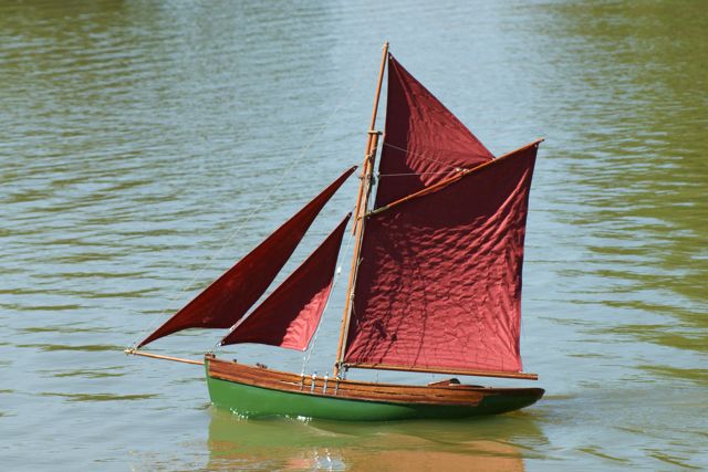 DSC01484 © Peter Taylor 2010