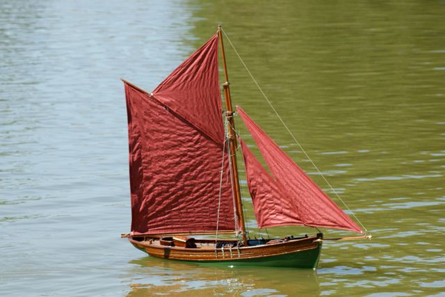 DSC01473 © Peter Taylor 2010