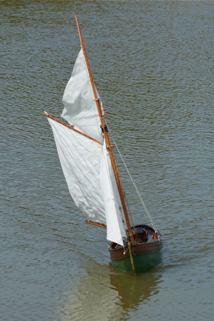 DSC00919 © Peter Taylor 2010
