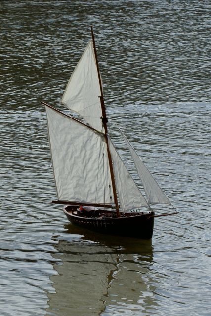 DSC03094 © Peter Taylor 2010