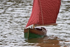  DSC03696 © Peter Taylor 2011
