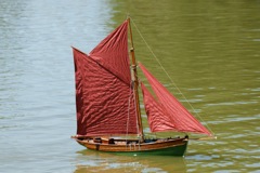 DSC01473 © Peter Taylor 2010