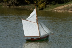 DSC00917 © Peter Taylor 2010