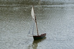 DSC03096 © Peter Taylor 2010