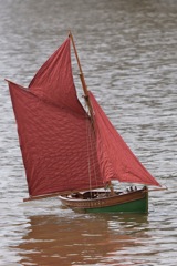 DSC03780 © Peter Taylor 2011