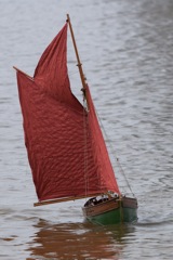 DSC03779 © Peter Taylor 2011