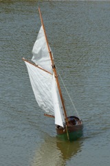 DSC00919 © Peter Taylor 2010