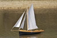 DSC09480 © Peter Taylor 2012