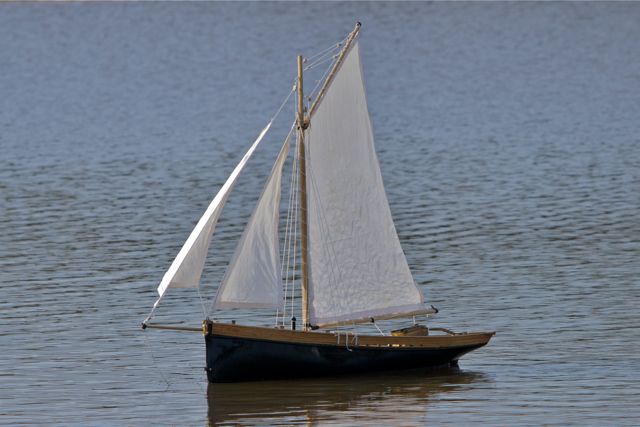 DSC09494 © Peter Taylor 2012