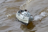 DSC03770 © Peter Taylor (2011)
