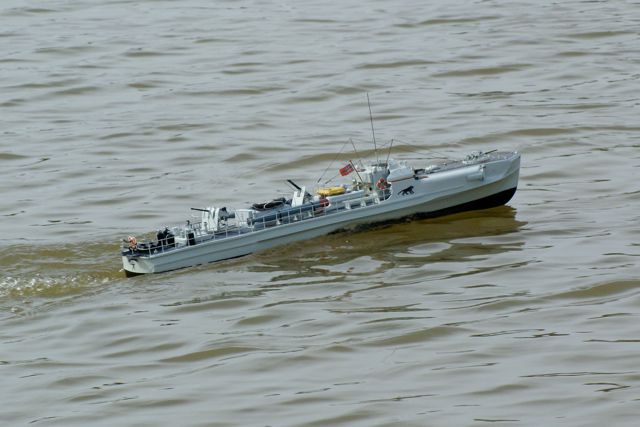 DSC03384 © Peter Taylor (2010)