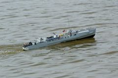 DSC03384 © Peter Taylor (2010)