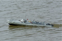 DSC03382 © Peter Taylor (2010)