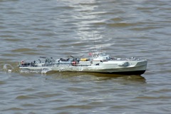 DSC05064 © Peter Taylor (2008)