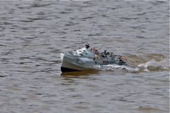DSC03783 © Peter Taylor (2011)