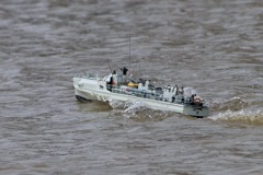 DSC03771 © Peter Taylor (2011)