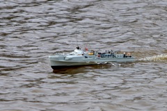 DSC03768 © Peter Taylor (2011)
