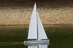 DSC08234 © Peter Taylor 2011