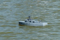 DSC01677 © Peter Taylor 2011