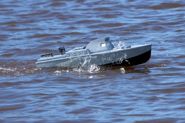 DSC05075 © Peter Taylor 2011