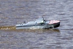 DSC05549 © Peter Taylor 2011