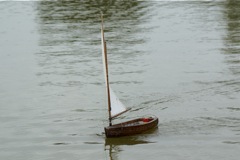 DSC06832 © Peter Taylor 2008