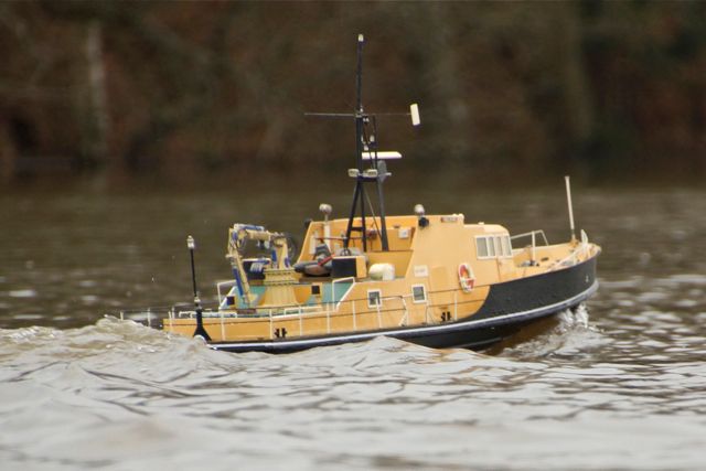 DSC02601 © Peter Taylor 2012