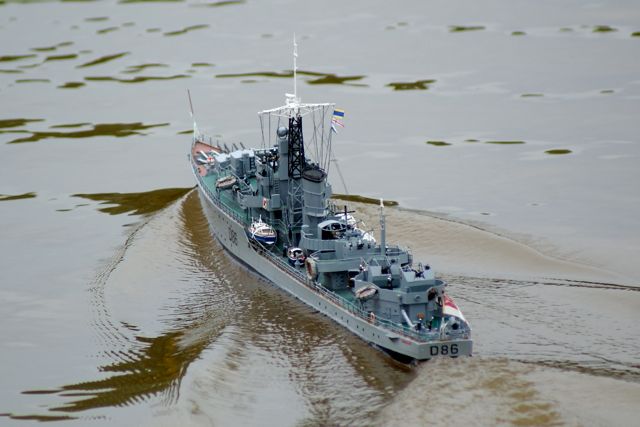 DSC05355 © Peter Taylor 2008